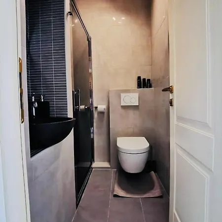 Spacieux Apparemment Dans De Luxe Avec Piscine Lejlighed Nice